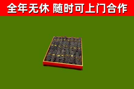 桃源县回收海参